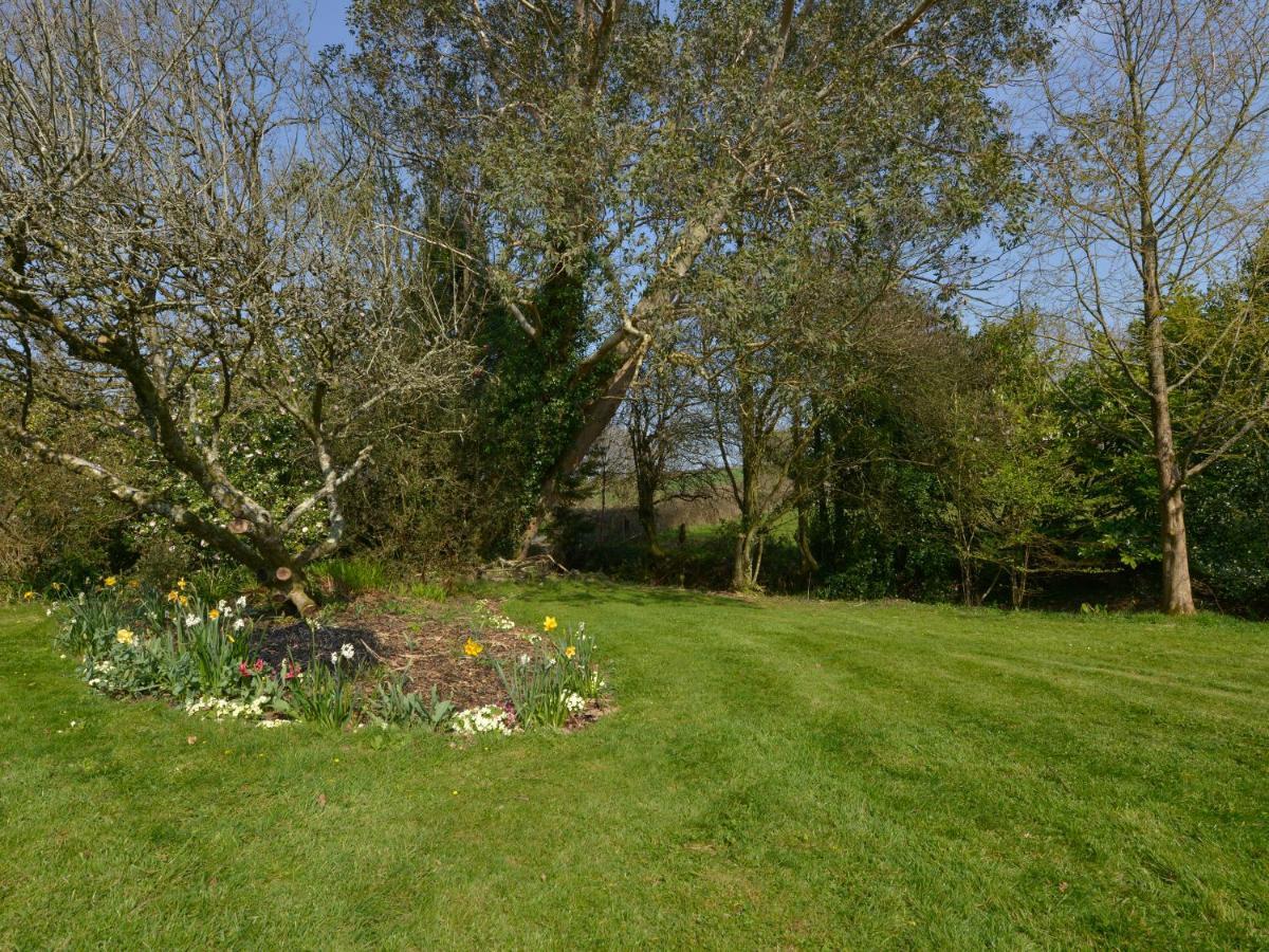 Lily Cottage Looe Exteriér fotografie