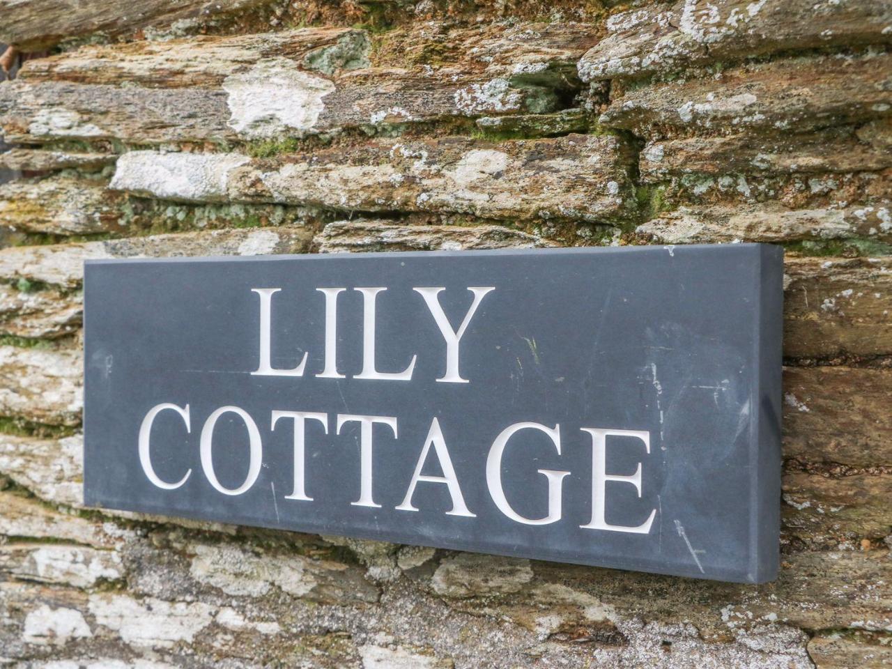 Lily Cottage Looe Exteriér fotografie
